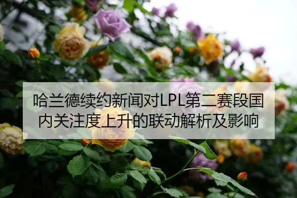 ha-lan-de-xu-yue-xin-wen-dui-di-er-sai-duan-guo-nei-guan-zhu-du-shang-sheng-de-lian-dong-jie-xi-ji-ying-xiang-2-356.jpg
